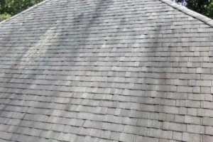 Why Are There Black Streaks on My Roof?
