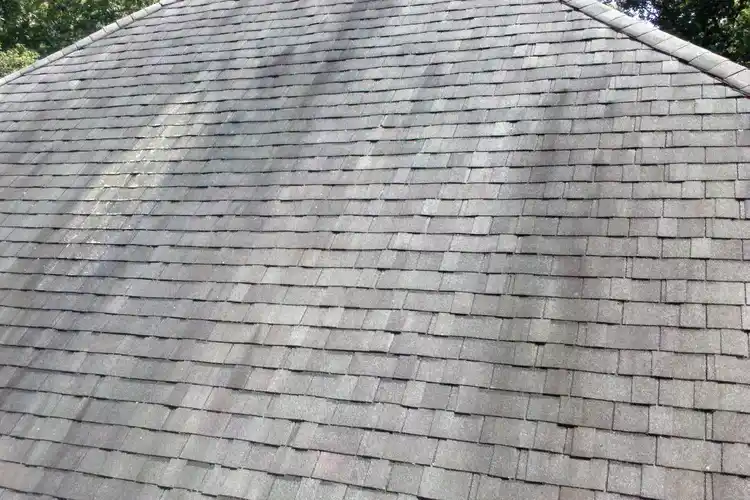 Why Are There Black Streaks on My Roof?