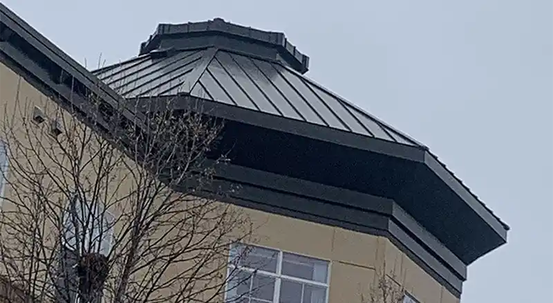 Specialty Metal Roofing