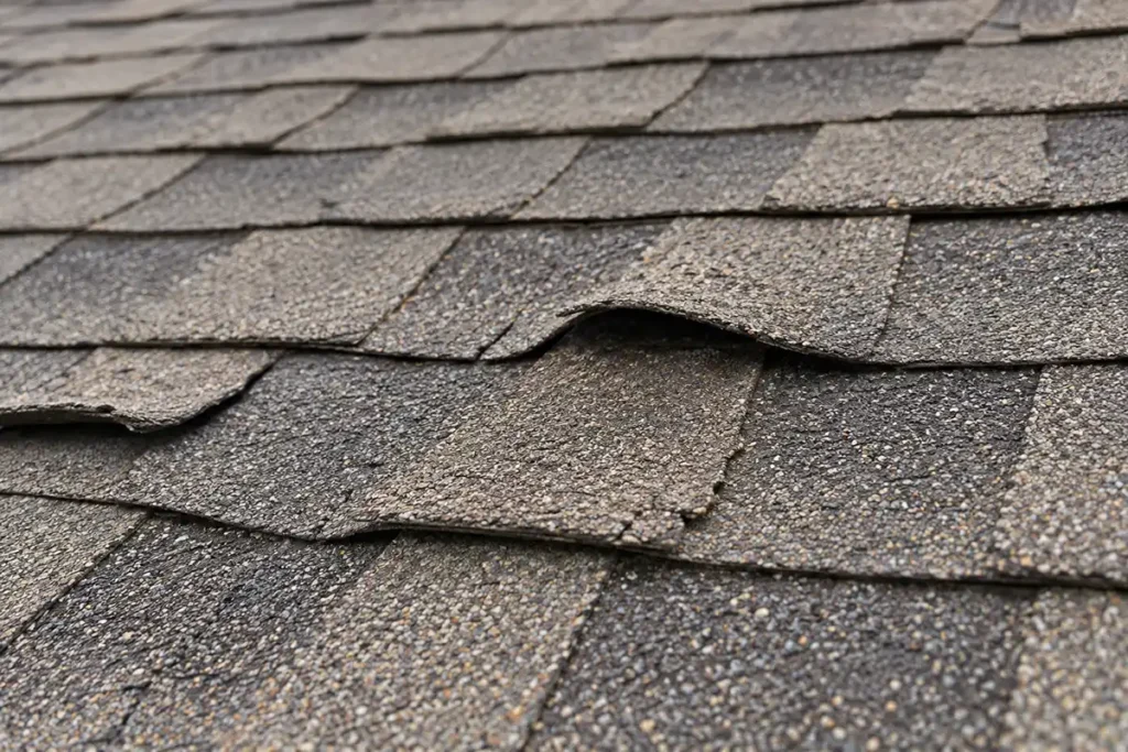 Weathered asphalt roof shingles with curling edges and lifted tabs.